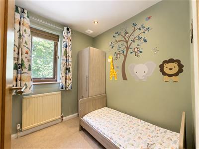 Picture 17